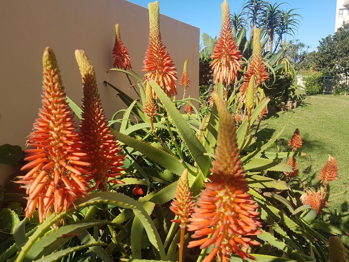 Umdloti Beach Apartment Luaran gambar